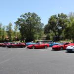 IMG_7668 (May 28, 2024)